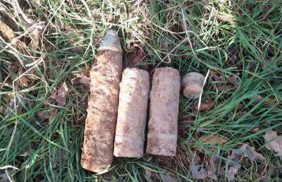 Три снаряда времен войны нашел житель Барановичского района