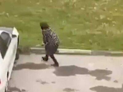 Жительница Грозного избила палкой бездомного щенка и попала на видео