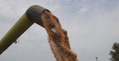 Страны "Большой семерки" поддержали продление зерновой сделки
