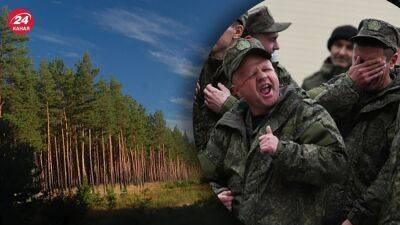 Испуганные "мобики" из Томской области две недели прячутся в лесу под Луганском