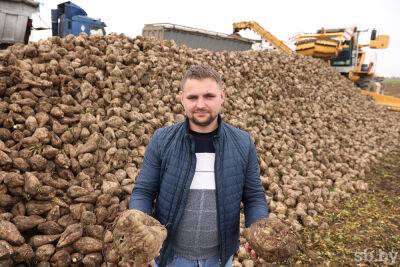 В Гродненской области завершают уборку свеклы, кукурузы и плодоовощной продукции