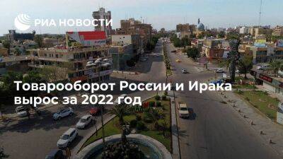 Товарооборот между Россией и Ираком за 2022 год превысил показатели предыдущего года