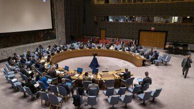 Совбез ООН: Москва и Пекин защищают Пхеньян