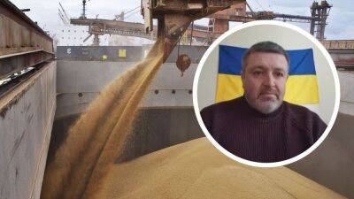 В наши порты двигаются как минимум 7 судов, – Братчук рассказал детали зернового соглашения