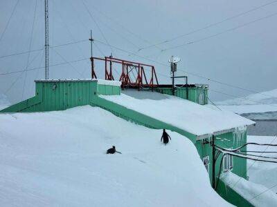 По крыше ходят пингвины: на станции "Академик Вернадский" рекордный снег – впечатляющие фото