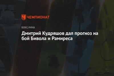 Дмитрий Кудряшов дал прогноз на бой Бивола и Рамиреса