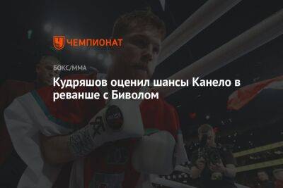 Кудряшов оценил шансы Канело в реванше с Биволом