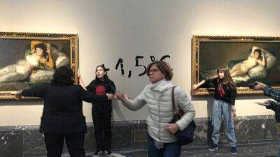 Ван Гог - Клод Моне - Экоактивистки приклеили себя в картинам Гойя в знак протеста - ru.euronews.com - Лондон - Мадрид - Гаага - Экология