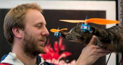 В Нидерландах умелец создает дроны из животных: детали необычного стартапа (фото, видео)