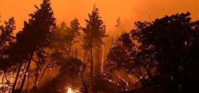 На болгаро-греческой границе продолжают гореть лесные пожары - unn.com.ua - Украина - Киев - Болгария - Греция