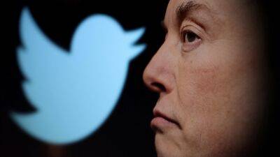 ООН опасается нарушений прав человека в Twitter под руководством Маска