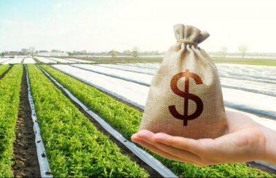 Несмотря на войну, стоимость сельскохозяйственной земли в Украине растет. Где самые дорогие с/х земли