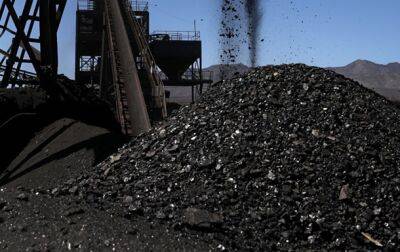 СМИ установили, какие страны покупают запрещенный уголь РФ