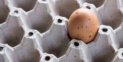 В Україні дешевшають яйця: оптові ціни вже впали на 10%