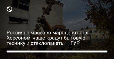 Россияне массово мародерят под Херсоном, чаще крадут бытовую технику и стеклопакеты – ГУР