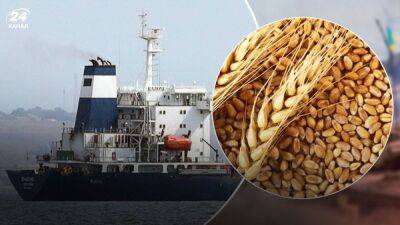 Зерновой шантаж не удался: Россия не сможет заменить украинское зерно