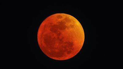 Завтра узбекистанцы смогут наблюдать за полным лунным затмением