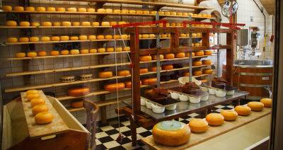 В Беларуси выпускают более 380 видов сыра и более 1 000 видов мясной продукции