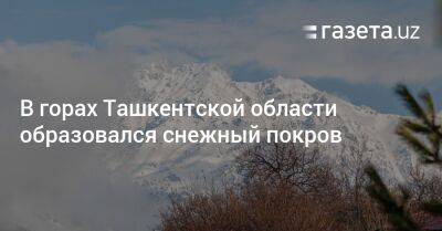 В горах Ташкентской области образовался снежный покров