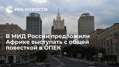 Посол МИД Озеров считает, что Россия и Африка могли бы выступать с общей повесткой в ОПЕК