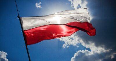 В Польше обвинили женщин в спаде рождаемости из-за алкоголя