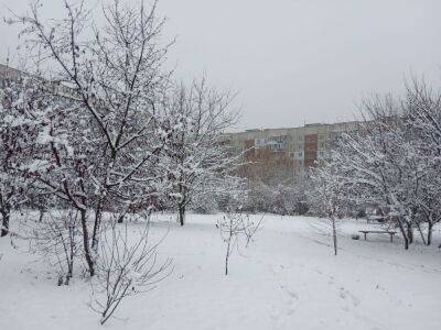 Уже через неделю: Украину накроют морозы и сильный снегопад - какие области заметет
