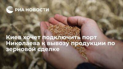 Украина намерена подключить порт Николаева к вывозу продукции в рамках зерновой сделки