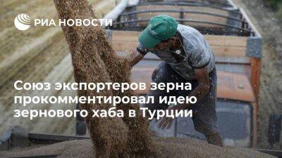 Союз экспортеров зерна не увидел выгод от идеи российского зернового хаба в Турции