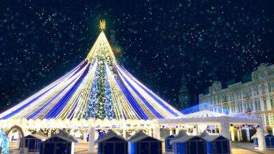 Киевляне призывают не устанавливать новогоднюю елку из-за войны: появилась петиция