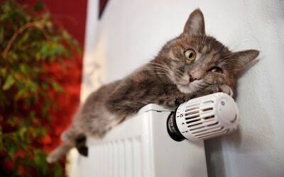 На Харьковщине с отоплением — почти 47% домов. Информация по городам