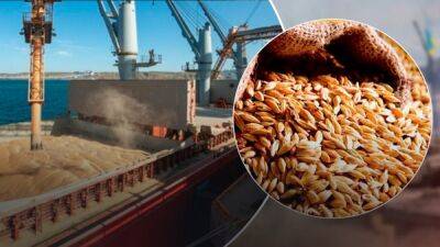 Россия блокирует перевозку зерна из Украины: в очереди сотни кораблей