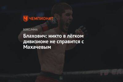 Блахович: никто в лёгком дивизионе не справится с Махачевым