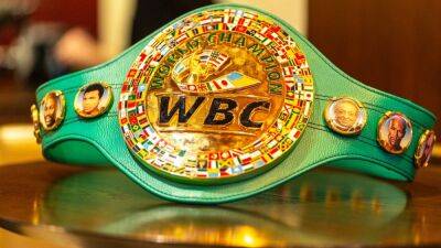 Российских и белорусских боксеров исключат из рейтингов WBC