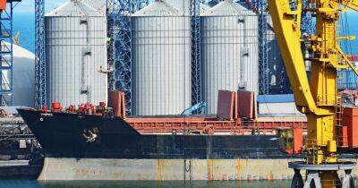 Зерновой коридор: Украина хочет продлить сделку на год и включить в нее порты Николаева