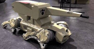 В Китае показали первого робота-собаку с автоматическим пулеметом