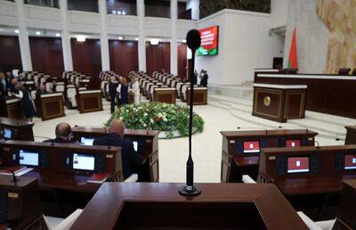 Депутаты в двух чтениях рассмотрят законопроект об амнистии
