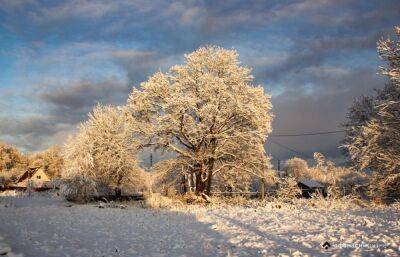 Изменен прогноз погоды на предстоящую зиму в Центральной России