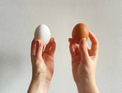 Какая разница между белыми и коричневыми яйцами: ответ вас удивит
