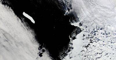 Крупнейший в мире айсберг уносится прочь от Антарктиды, чтобы погибнуть: это показали спутники