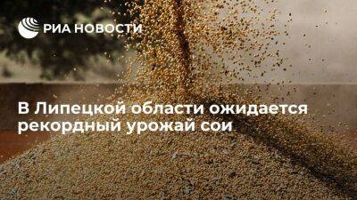 В Липецкой области ожидается рекордный урожай сои