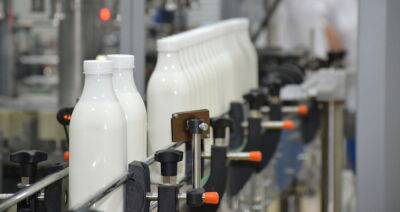 На фоне падения объемов производства молока в ряде стран Беларусь демонстрирует уверенный рост