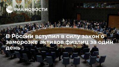 В России вступил в силу закон о заморозке за один день активов по решениям Совбеза ООН