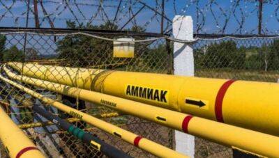 В ООН виступили із заявою про запуск аміакопроводу в Одесі