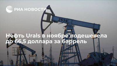 Нефть Urals в ноябре подешевела на шесть процентов к октябрю, до 66,47 доллара за баррель