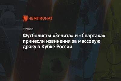 Футболисты «Зенита» и «Спартака» принесли извинения за массовую драку в Кубке России