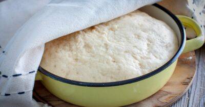Быстрое дрожжевое тесто для жареных пирожков: проверенный рецепт с секретом