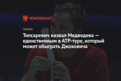 Типсаревич назвал Медведева — единственным в АТР-туре, который может обыграть Джоковича