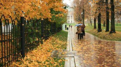 В Киеве в ноябре был установлен погодный рекорд