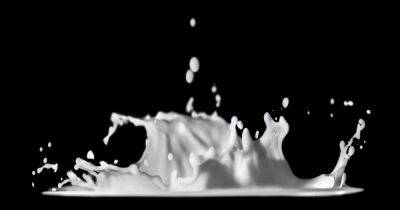 Для сознательных потребителей: пищевая компания создала мороженое на "безкоровьем" молоке