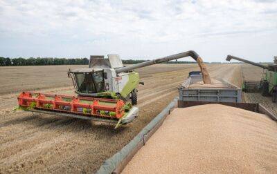 Збирання зернових наближається до завершення: у Мінагрополітики повідомили про врожайність